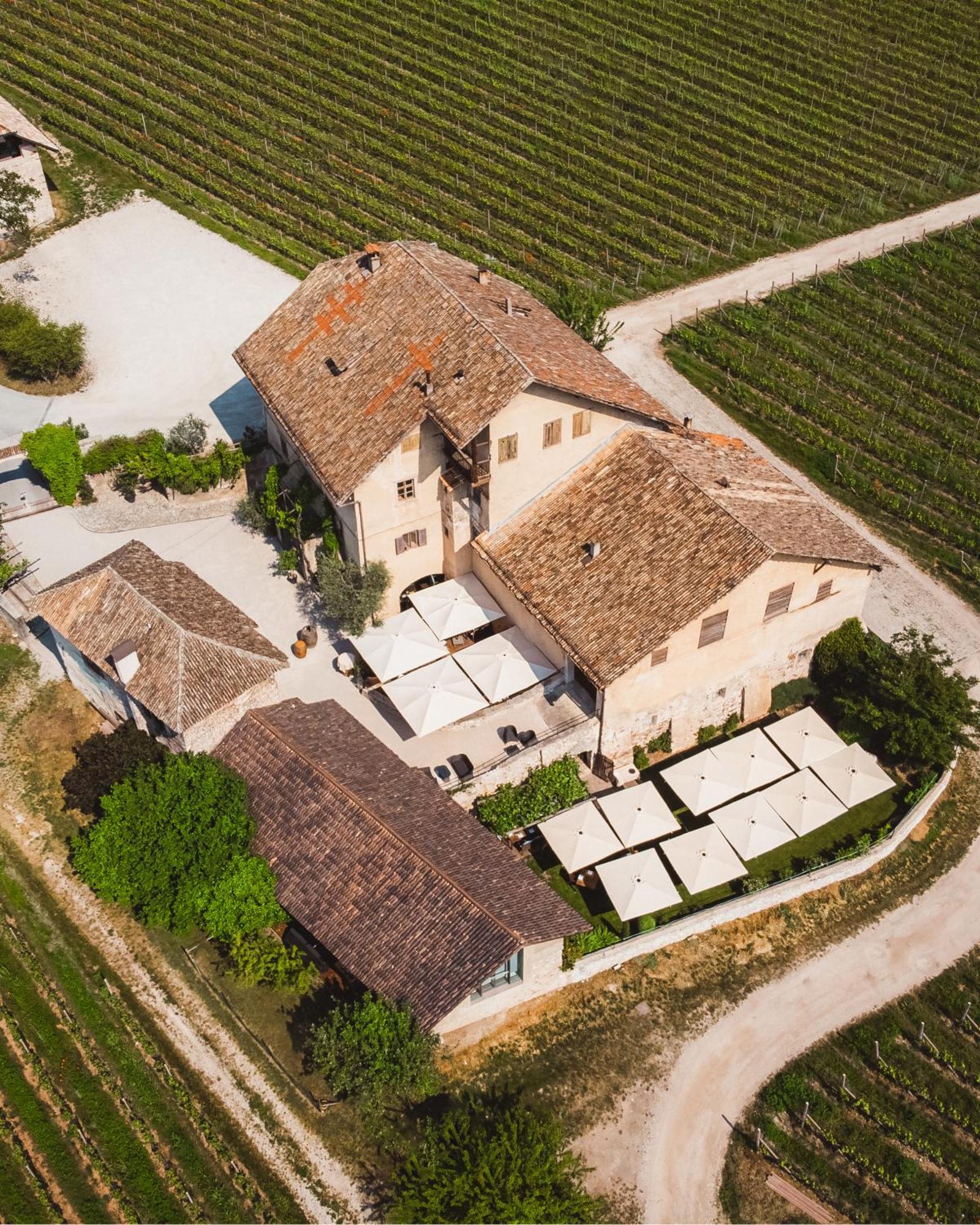Weinbergsuite Panholzer Caldaro Εξωτερικό φωτογραφία